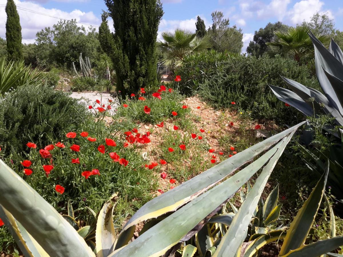 Finca Alqueria Fosca 캄포스 외부 사진