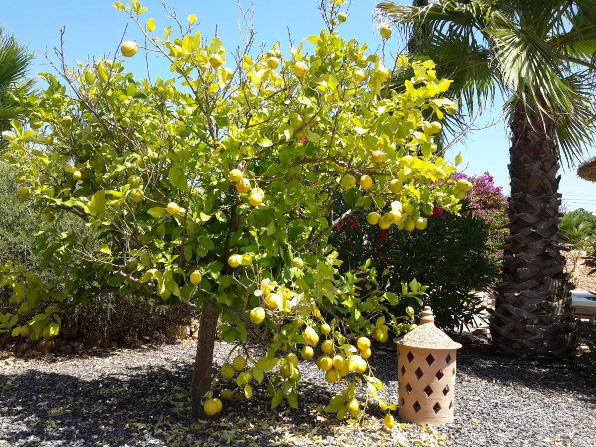 Finca Alqueria Fosca 캄포스 외부 사진