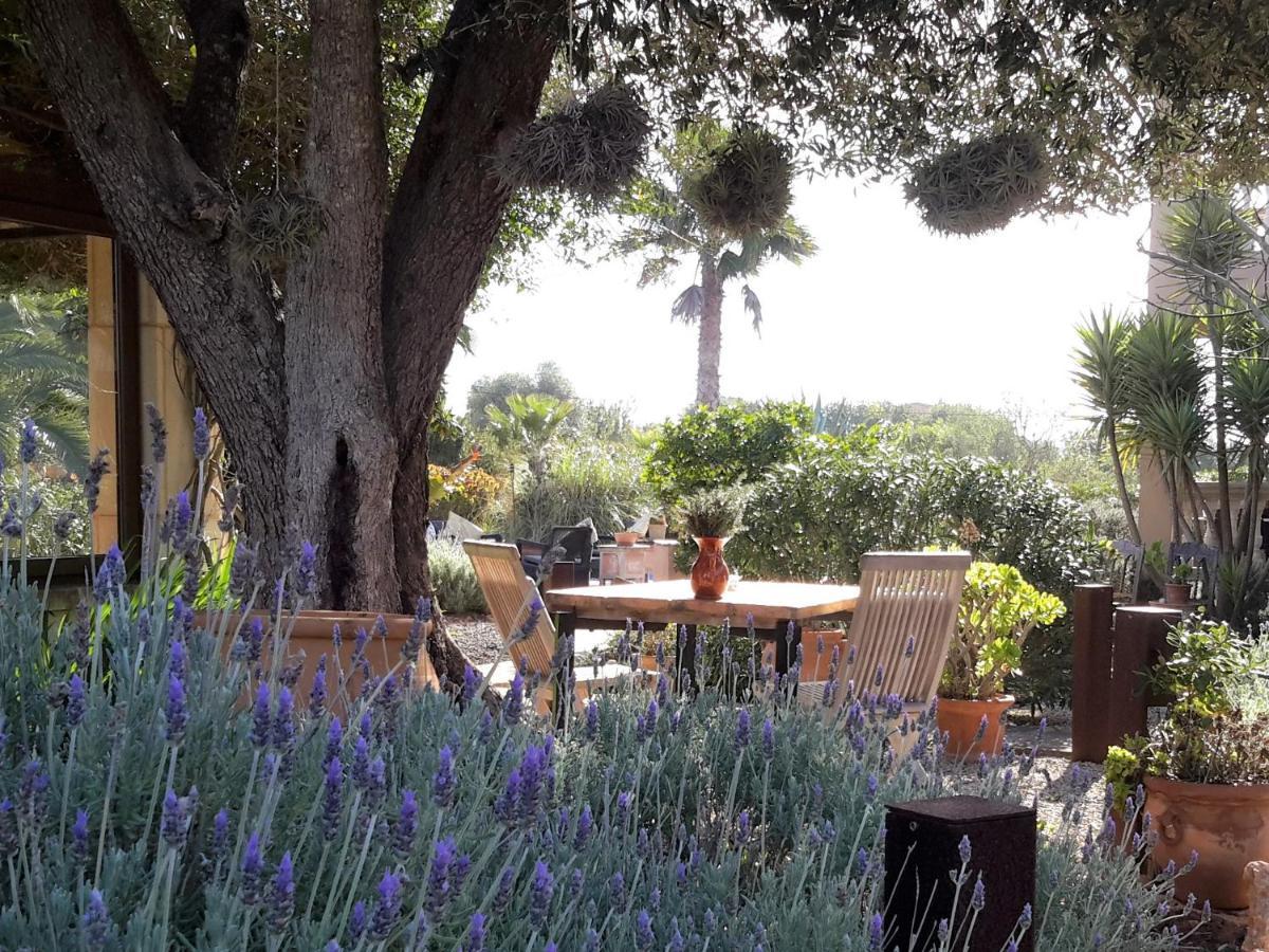 Finca Alqueria Fosca 캄포스 외부 사진