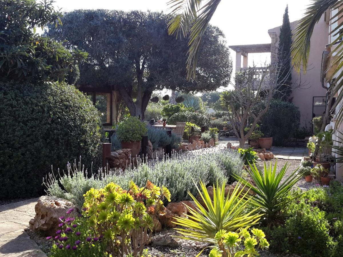 Finca Alqueria Fosca 캄포스 외부 사진