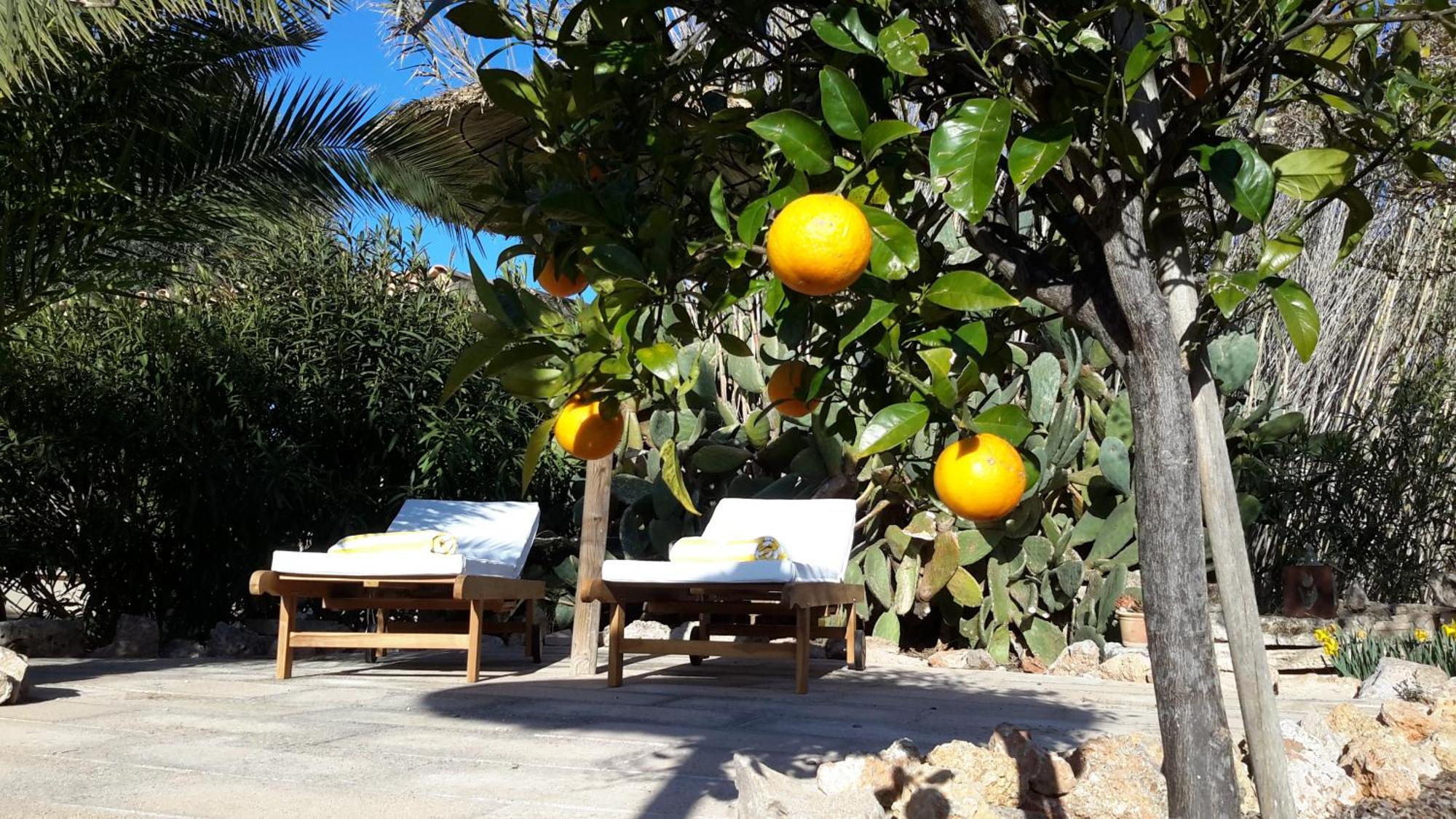 Finca Alqueria Fosca 캄포스 외부 사진