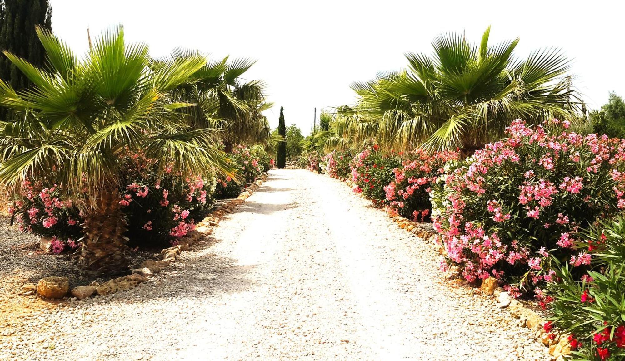 Finca Alqueria Fosca 캄포스 외부 사진
