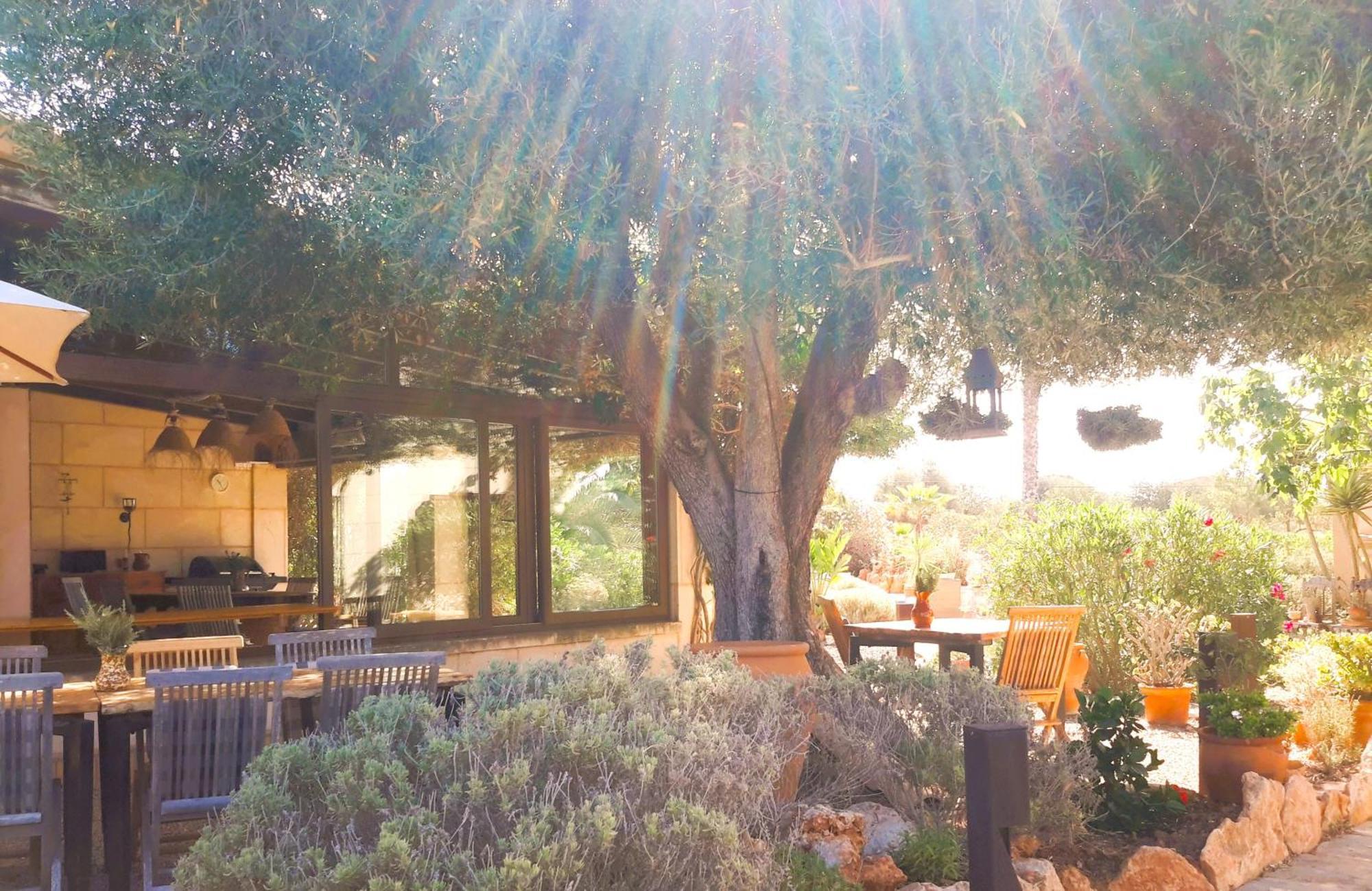 Finca Alqueria Fosca 캄포스 외부 사진